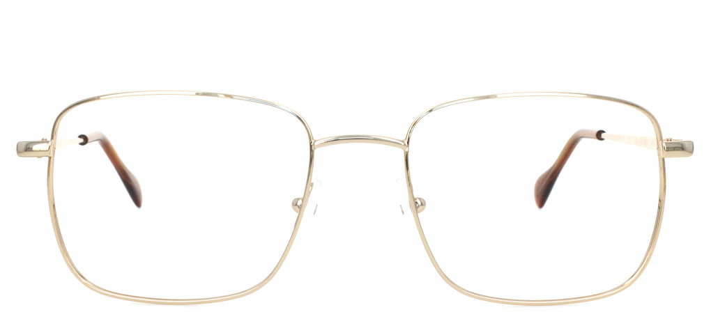 Frick gold shiny 53/19 - Glassy by Dynoptic - Optiker - Optiker Schweiz - Brillen - Herrenbrillen - Damenbrillen - Kinderbrillen - Korrekturbrillen - Lesebrillen - Bildschirmbrillen - Sportbrillen - Autofahrbrillen - Brillengläser - Brillenmaterialien - Brillenreinigung - Gleitsichtbrillen - Opticiens - Opticiens Suisse - Lunettes - Lunettes Hommes - Lunettes Femmes - Lunettes Enfants - Lunettes de vue - Lunettes de lecture - Lunettes d’écran - Lunettes de sport - Lunettes de conduite - Verres de Lunettes - Matériaux pour lunettes - Nettoyage des lunettes - Ottico - Ottico Svizzera - Occhiali - Occhiali da uomo - Occhiali da donna - Occhiali per bambini - Occhiali correttivi - Occhiali da lettura - Occhiali da schermo - Occhiali per lo sport - Ochhiali per la guida - Lenti per Occhiali - Materiali per Occhiali